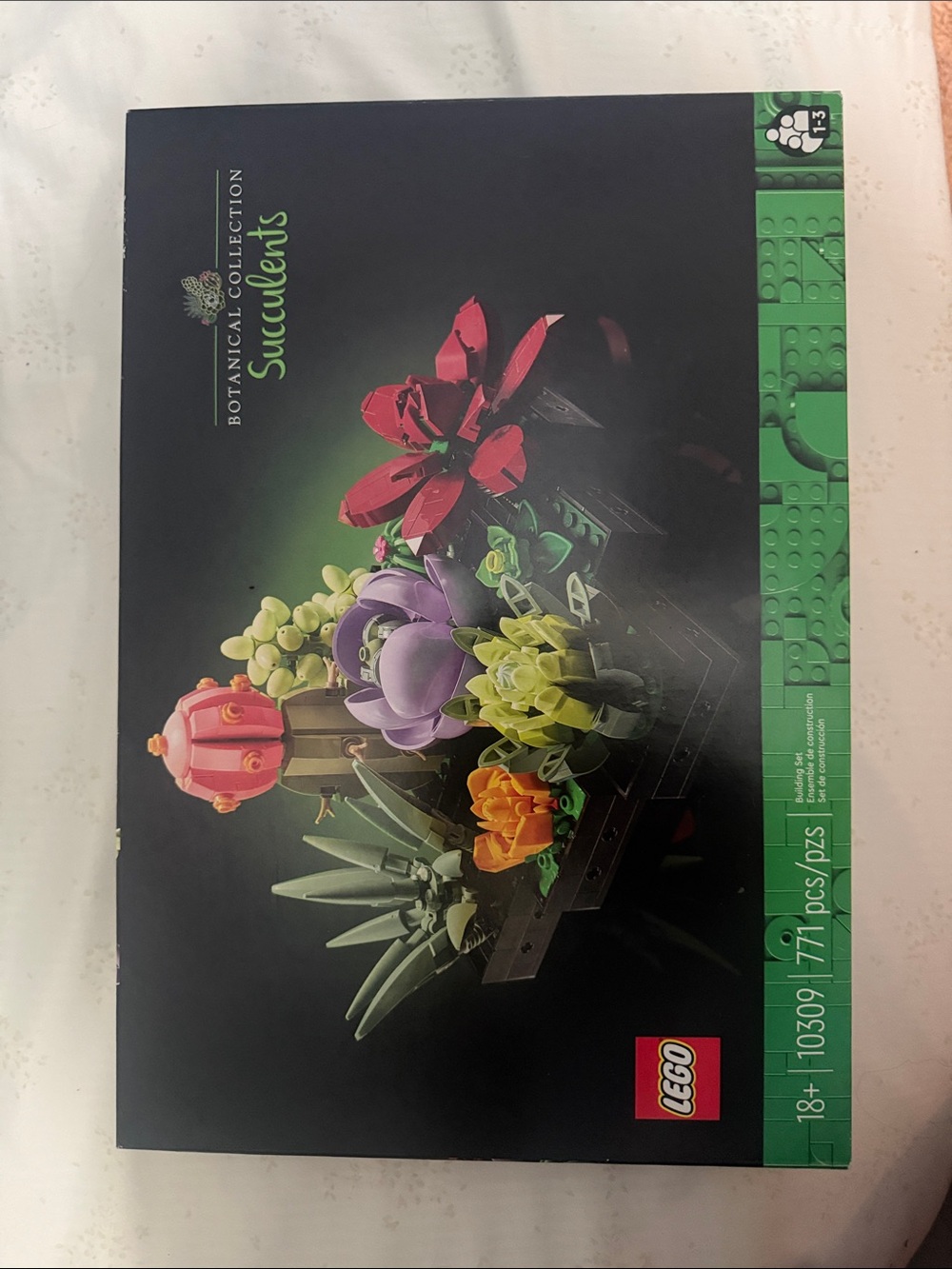 LEGO Botanical Collection Succulents - Black Box with Colorful Succulents